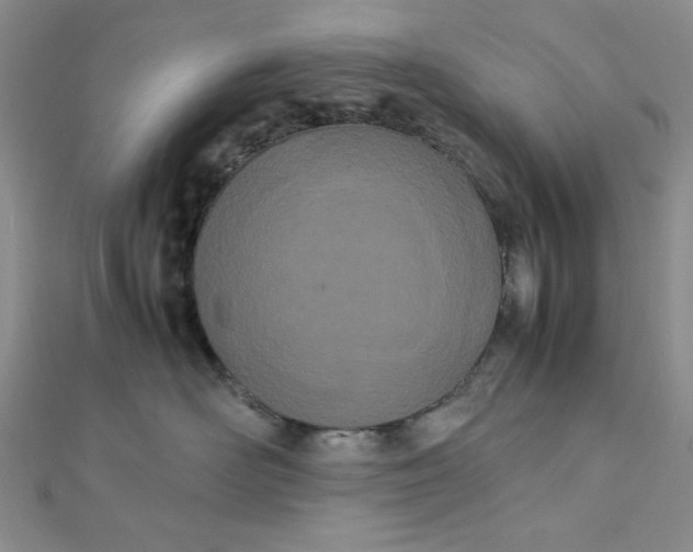 X0000112870526200909041624