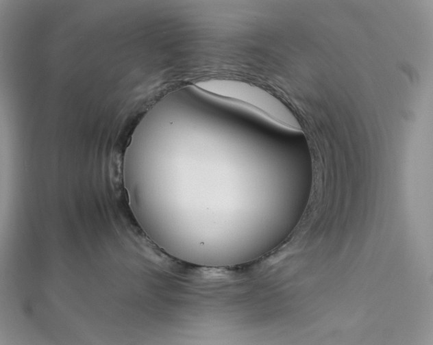 X0000112870528200909041623