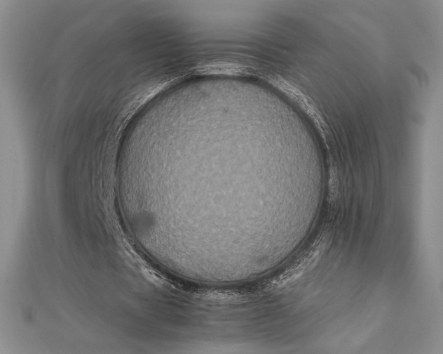 X0000112870529200909041623