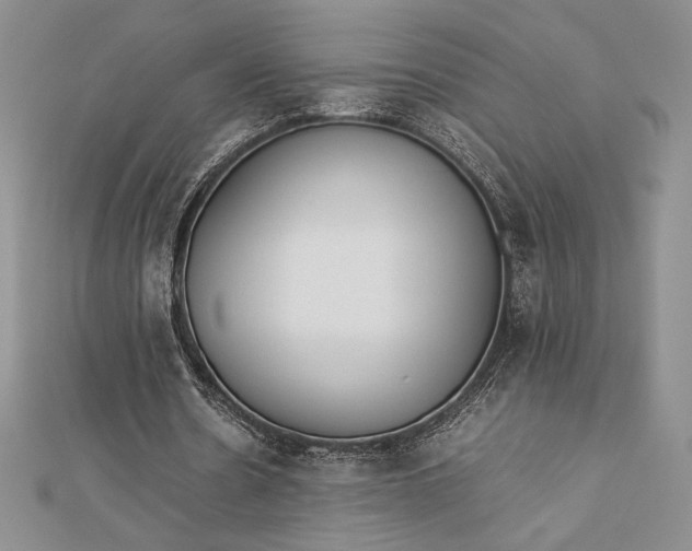 X0000112870530200909041623