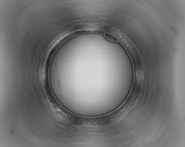 X0000112870532200909041623