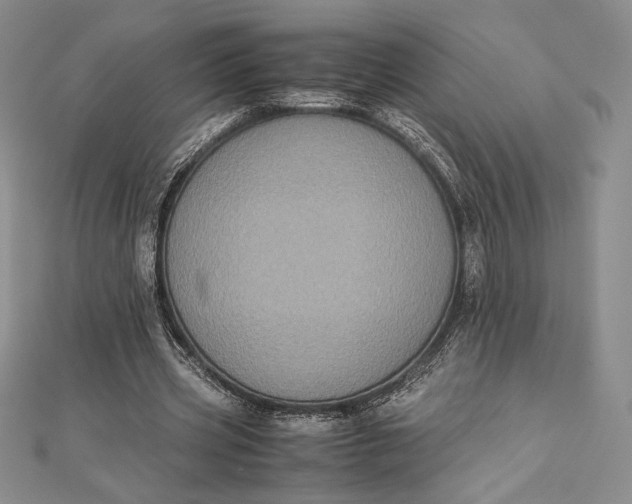 X0000112870533200909041623