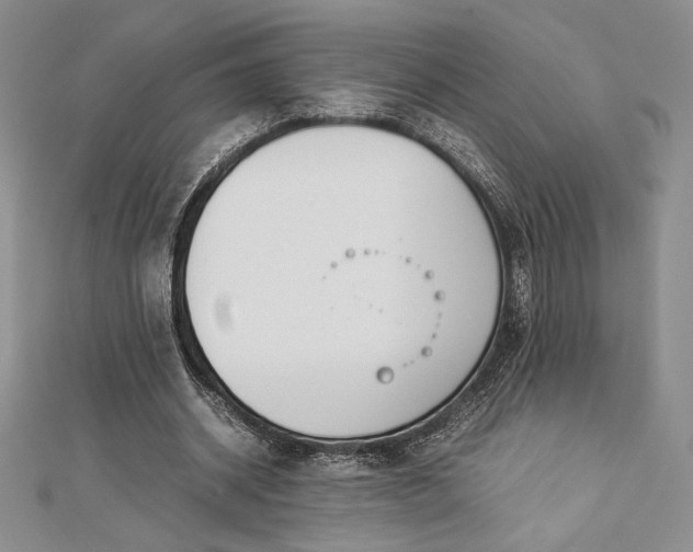 X0000112870534200909041623