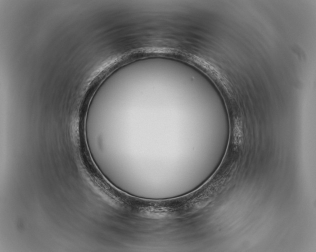 X0000112870535200909041623