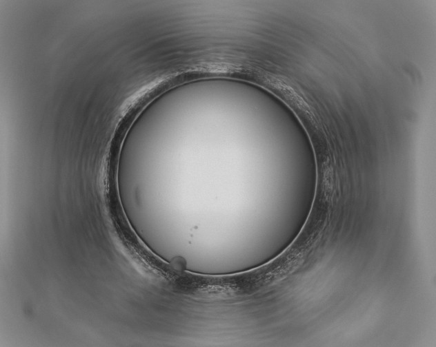 X0000112870536200909041623