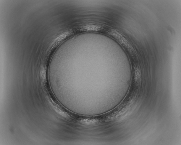 X0000112870537200909041623