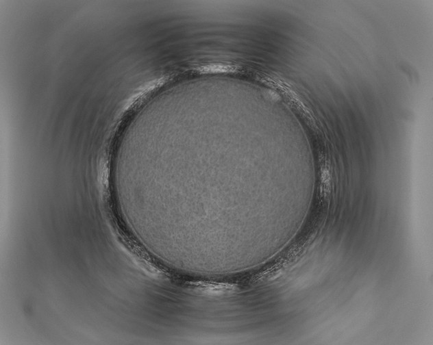 X0000112870539200909041623