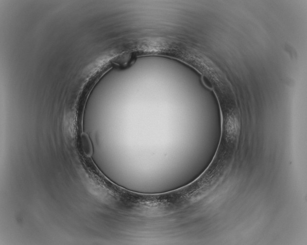 X0000112870540200909041623