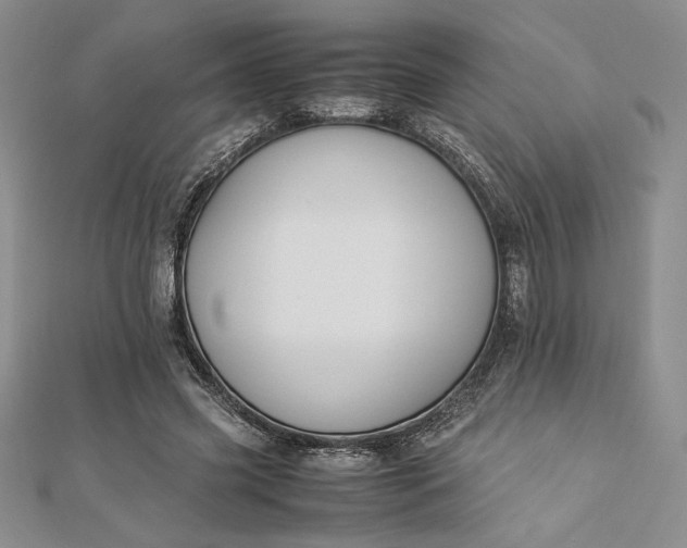 X0000112870541200909041623