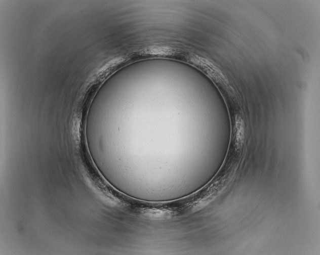 X0000112870542200909041623