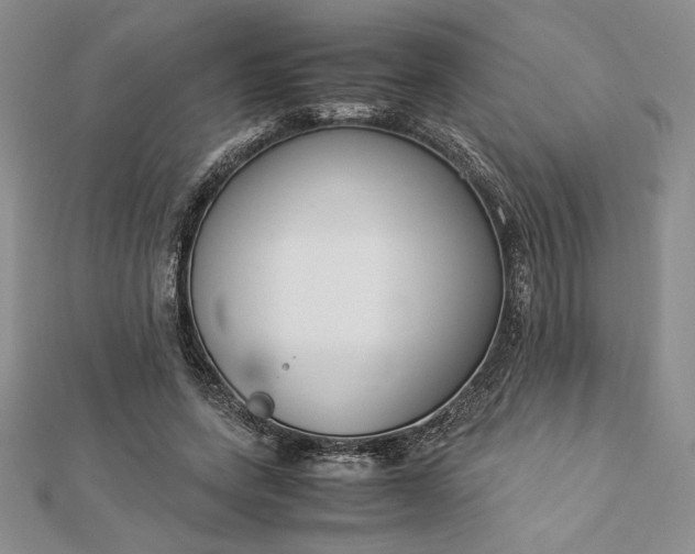 X0000112870543200909041623