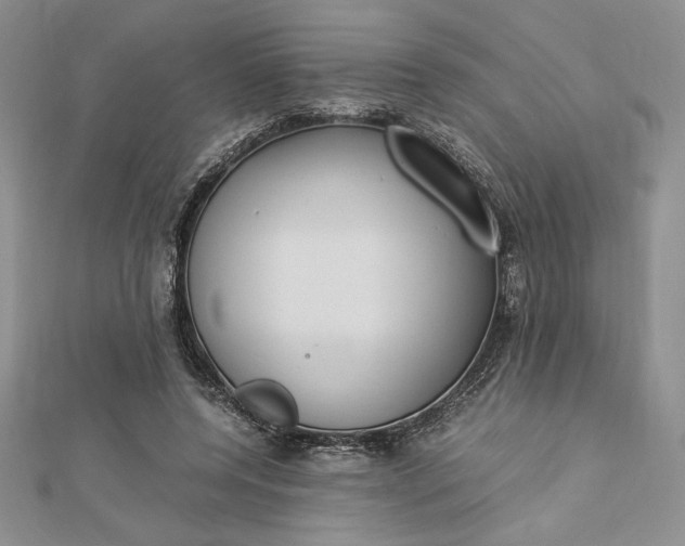 X0000112870544200909041623