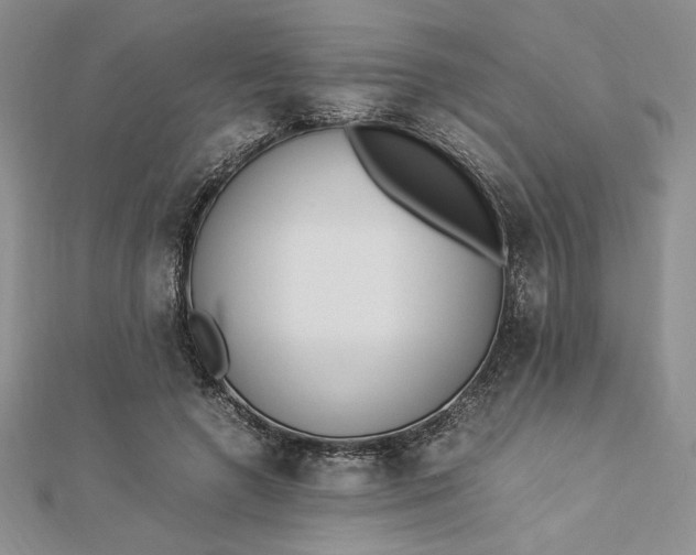 X0000112870546200909041623