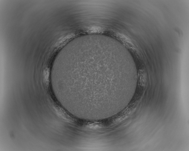 X0000112870550200909041623