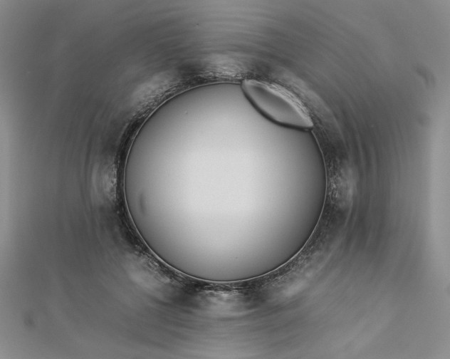 X0000112870552200909041623