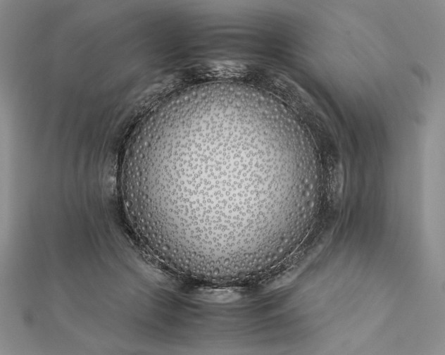 X0000112870553200909041623