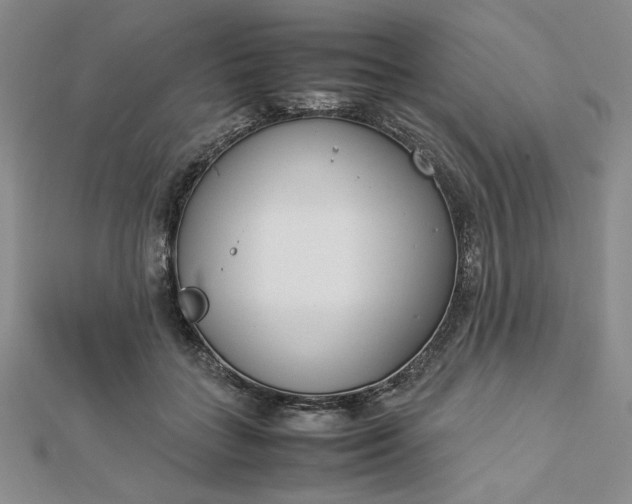 X0000112870555200909041623