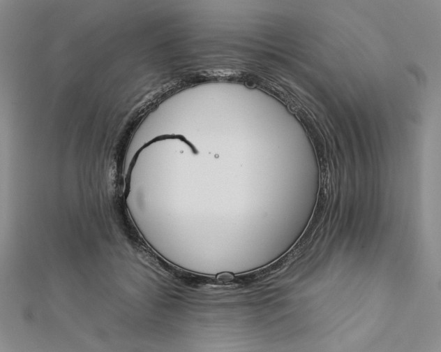 X0000112870556200909041623