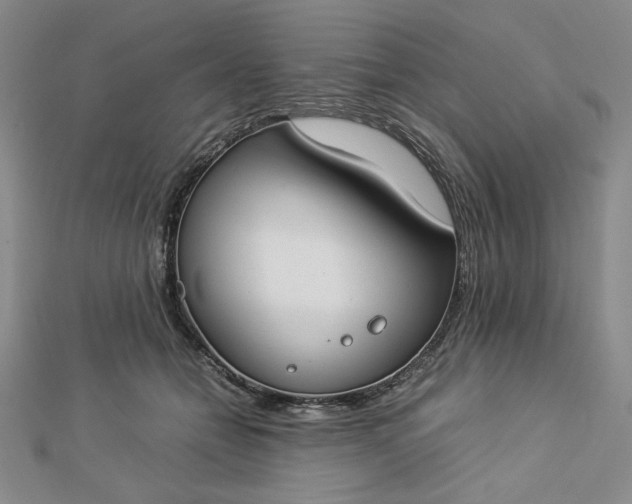 X0000112870558200909041623