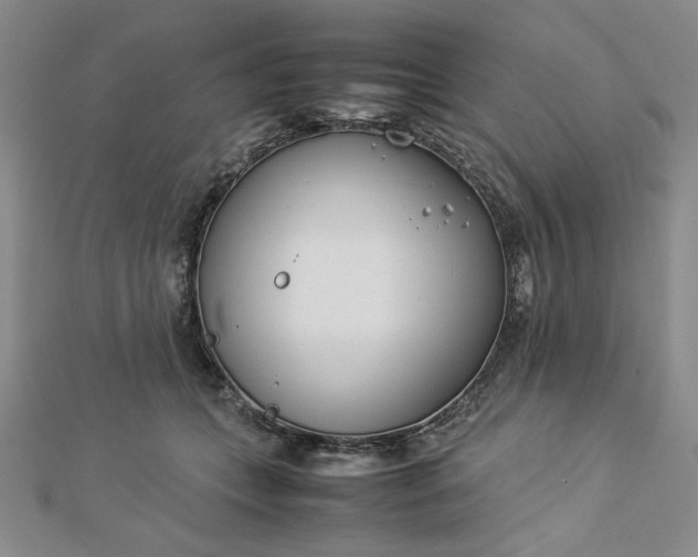 X0000112870559200909041623