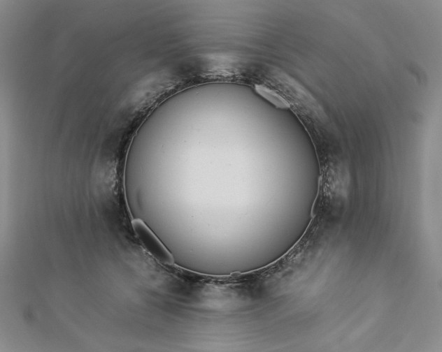 X0000112870560200909041623