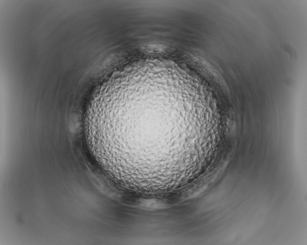 X0000112870561200909041623