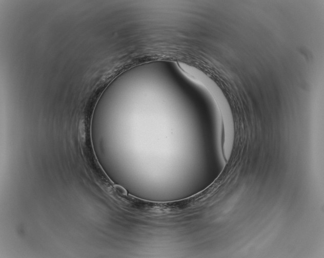 X0000112870562200909041623