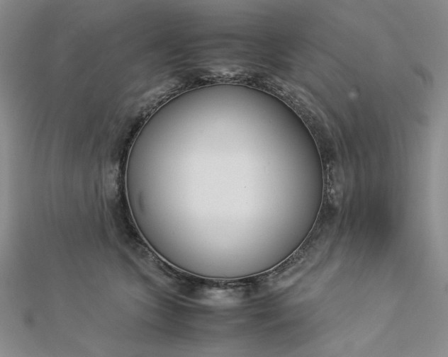 X0000112870563200909041623