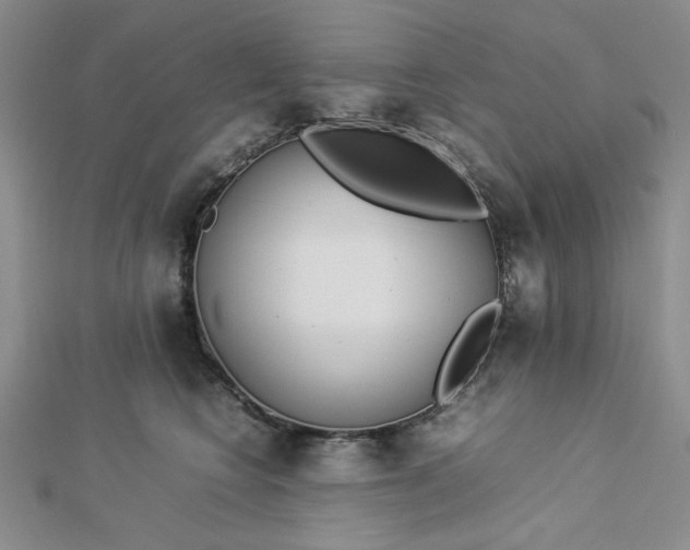 X0000112870566200909041623