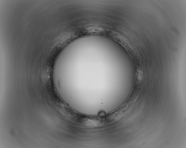 X0000112870567200909041623