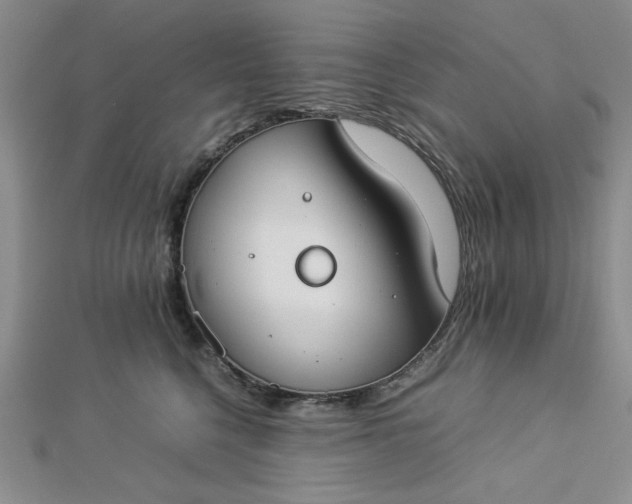 X0000112870568200909041623