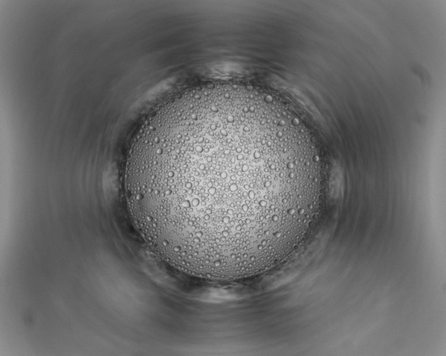 X0000112870569200909041623