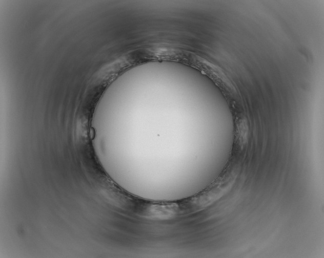 X0000112870571200909041623