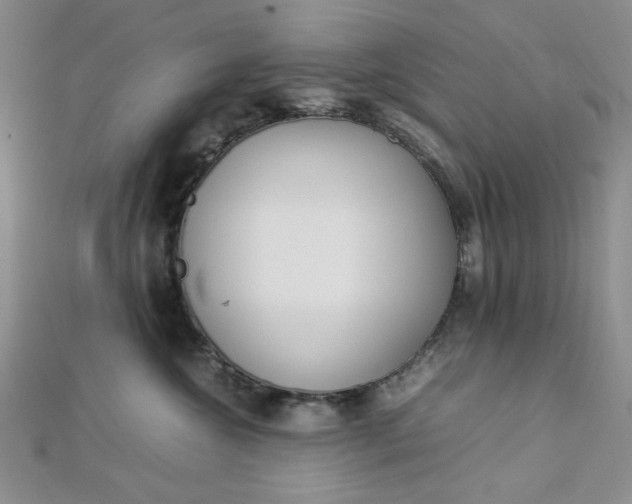 X0000112870572200909041623