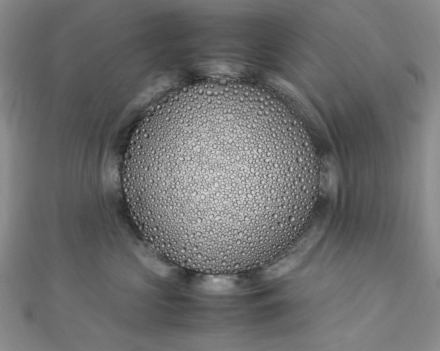 X0000112870573200909041623