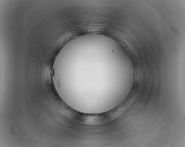 X0000112870575200909041623