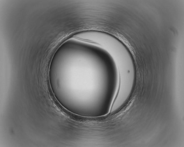 X0000112870577200909041623