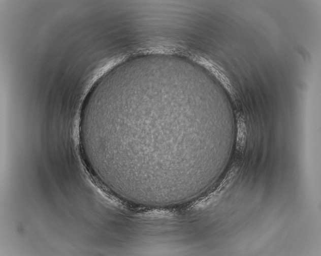 X0000112870578200909041623