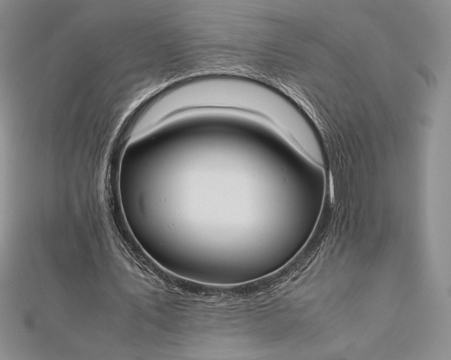 X0000112870579200909041623