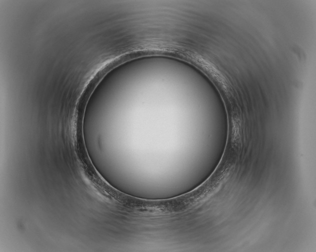 X0000112870580200909041623