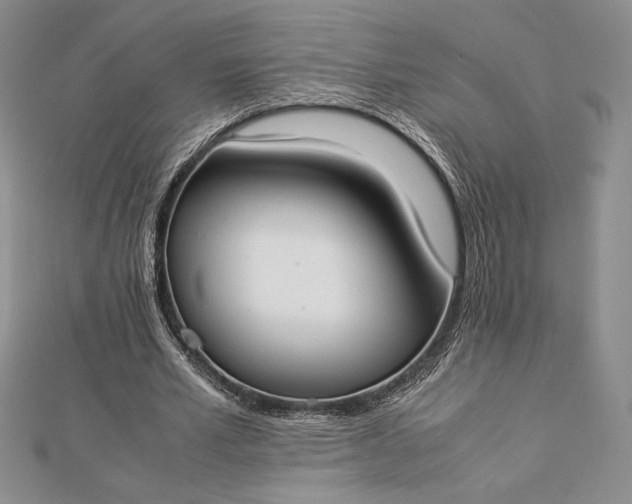 X0000112870581200909041623