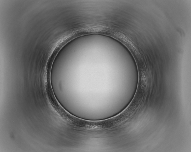 X0000112870582200909041623