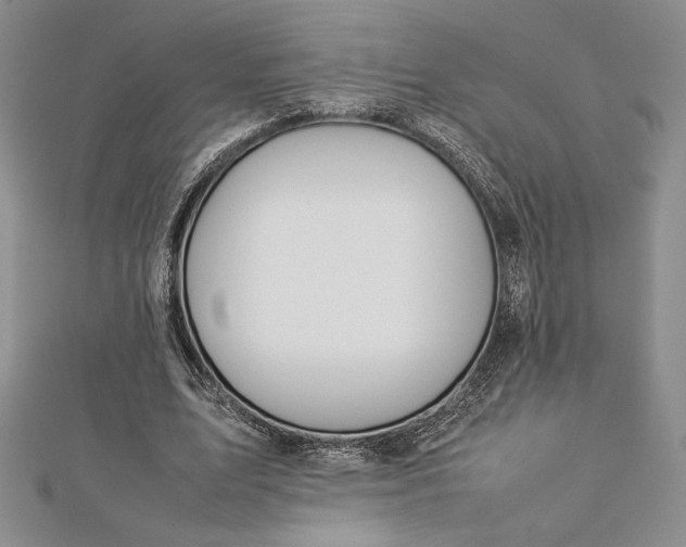 X0000112870583200909041623