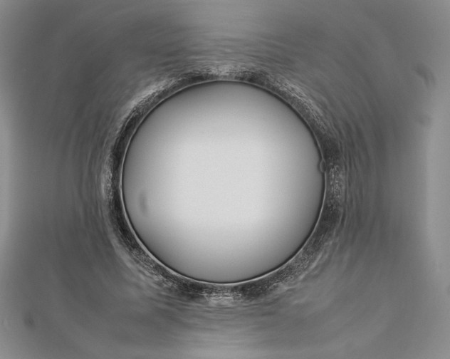 X0000112870587200909041623