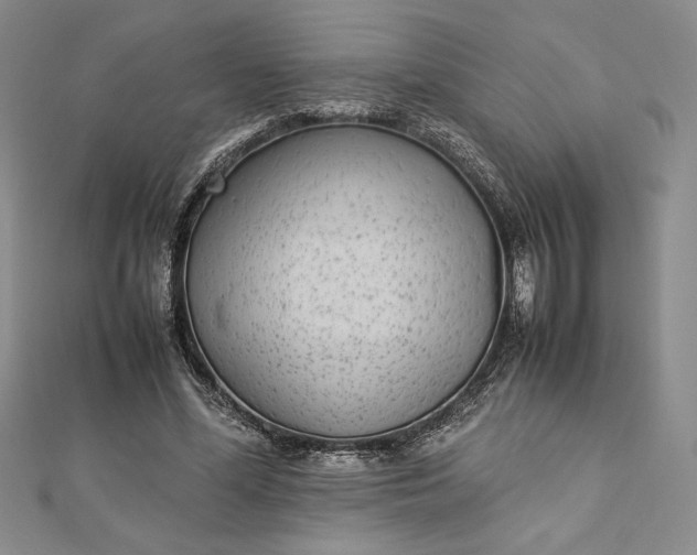 X0000112870588200909041623