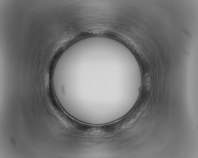 X0000112870589200909041623