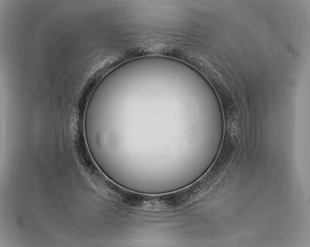 X0000112870591200909041623