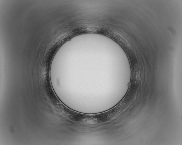 X0000112870595200909041623