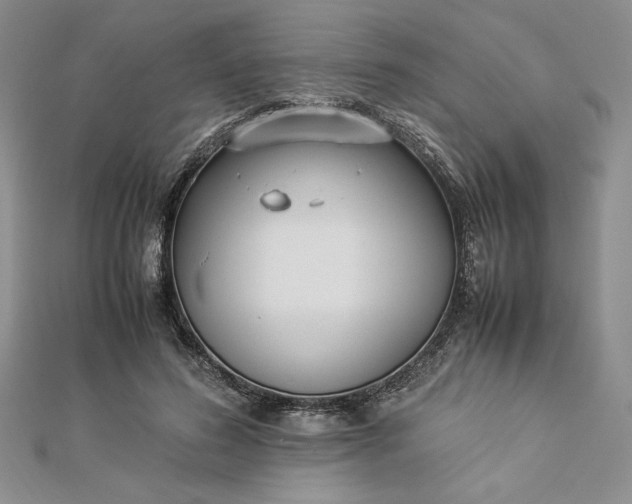 X0000112870596200909041623