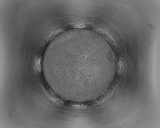 X0000112870598200909041623